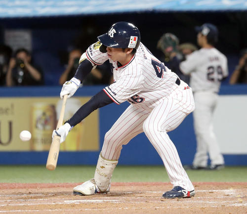 ヤクルト対日本ハム　4回裏ヤクルト1死一、三塁、太田は同点となるセーフティースクイズを決める（撮影・佐藤翔太）