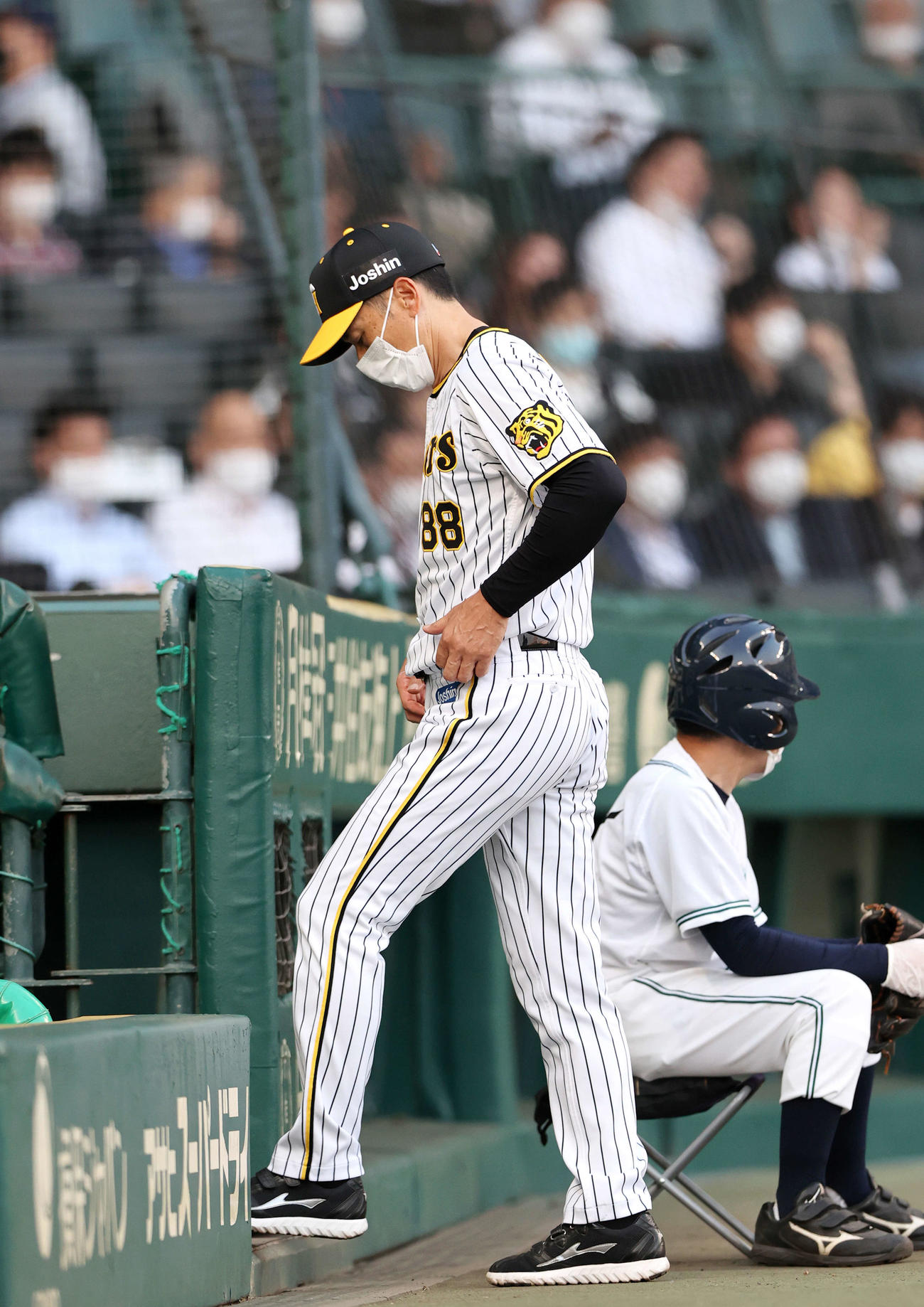 阪神対楽天　阪神矢野監督はマルテの交代を球審に告げベンチへ引き揚げる（撮影・上山淳一）