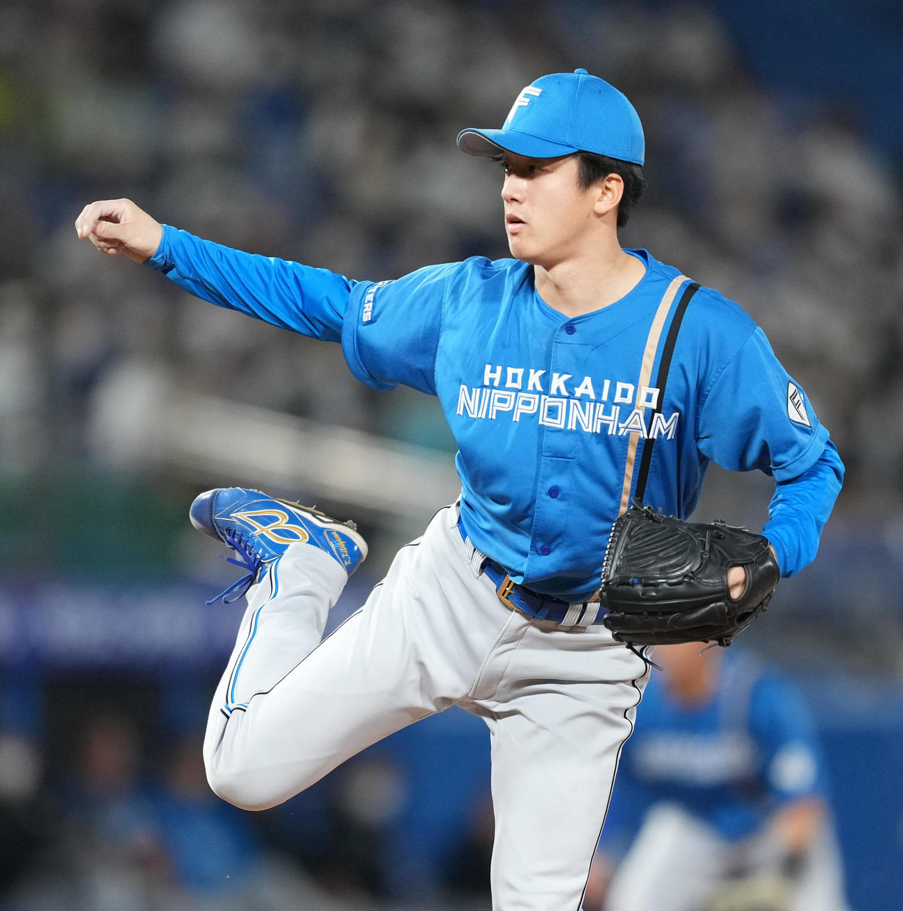 ヤクルト対日本ハム　10回、5番手で登板した日本ハム北山（撮影・菅敏）