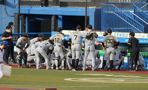 ロッテ対阪神　試合前、円陣を組む阪神ナイン（撮影・菅敏）