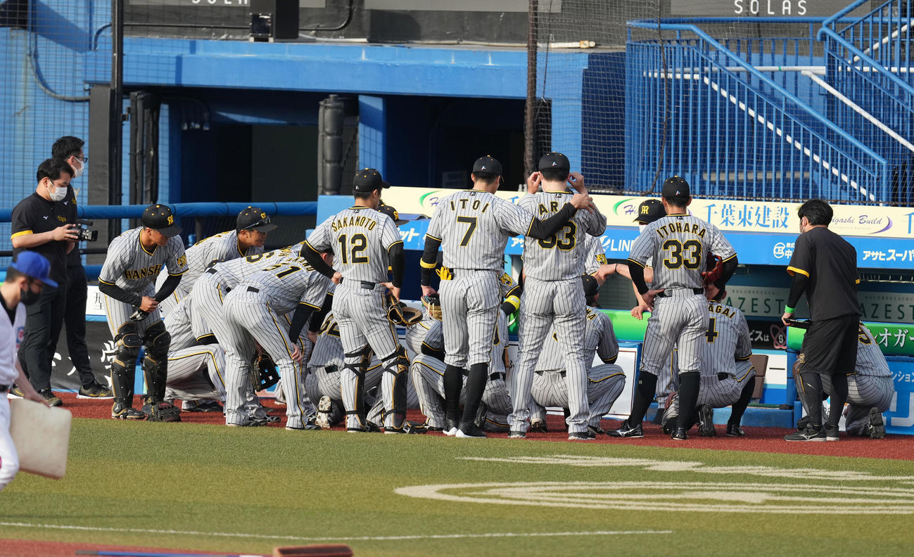 ロッテ対阪神　試合前、円陣を組む阪神ナイン（撮影・菅敏）