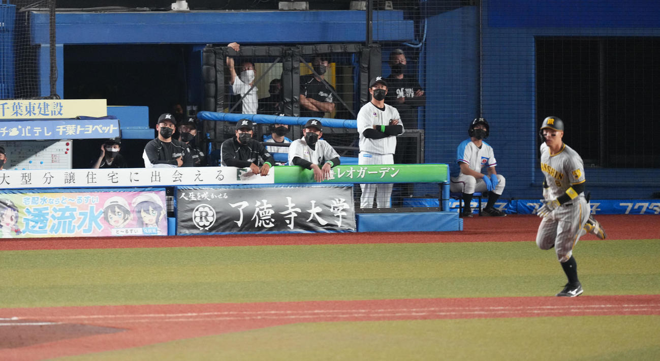 ロッテ対阪神　9回表阪神1死、中越えに決勝の本塁打を放った佐藤輝（手前）を前にぼうぜんとする井口監督（左から2人目）（撮影・菅敏）