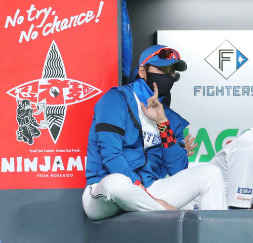 日本ハム対巨人　2回裏、戦況を見守る新庄監（撮影・河田真司）