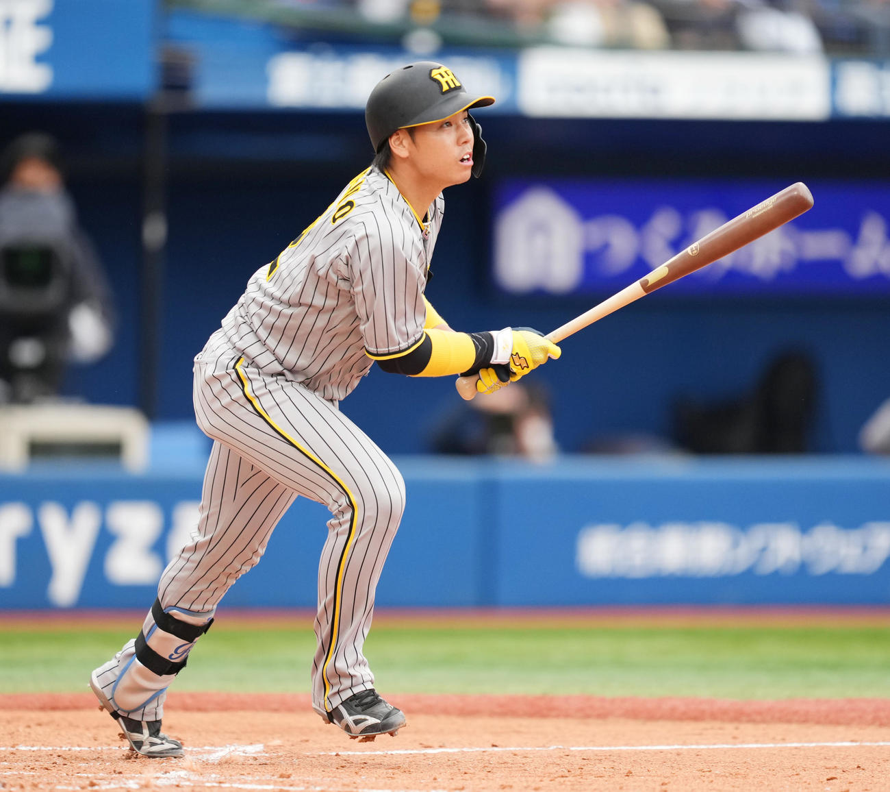 阪神梅野隆太郎（2022年5月15日撮影）