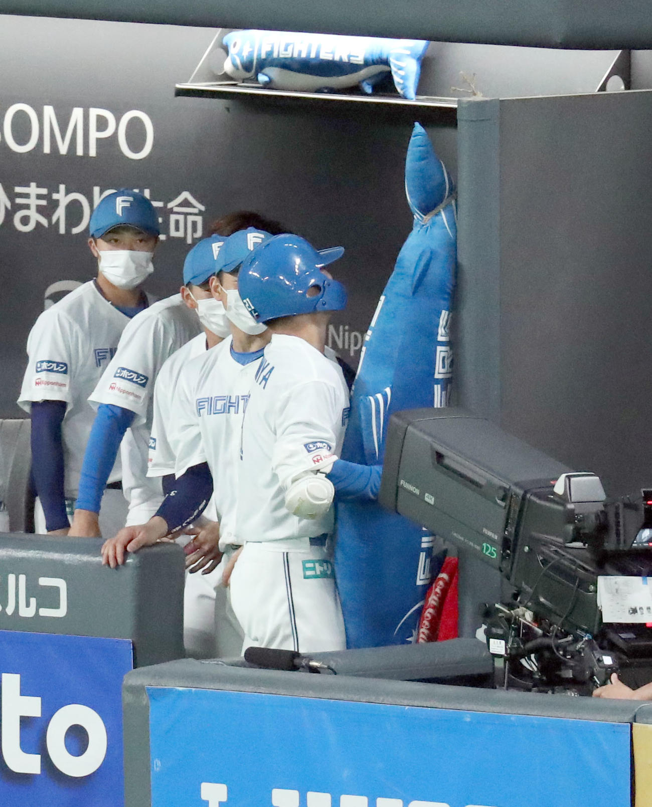 日本ハム対巨人　4回裏日本ハム無死、清宮は先制となる右越え本塁打を放ちベンチ横にある大きなしゃけまるのぬいぐるみに抱きつく（撮影・佐藤翔太）