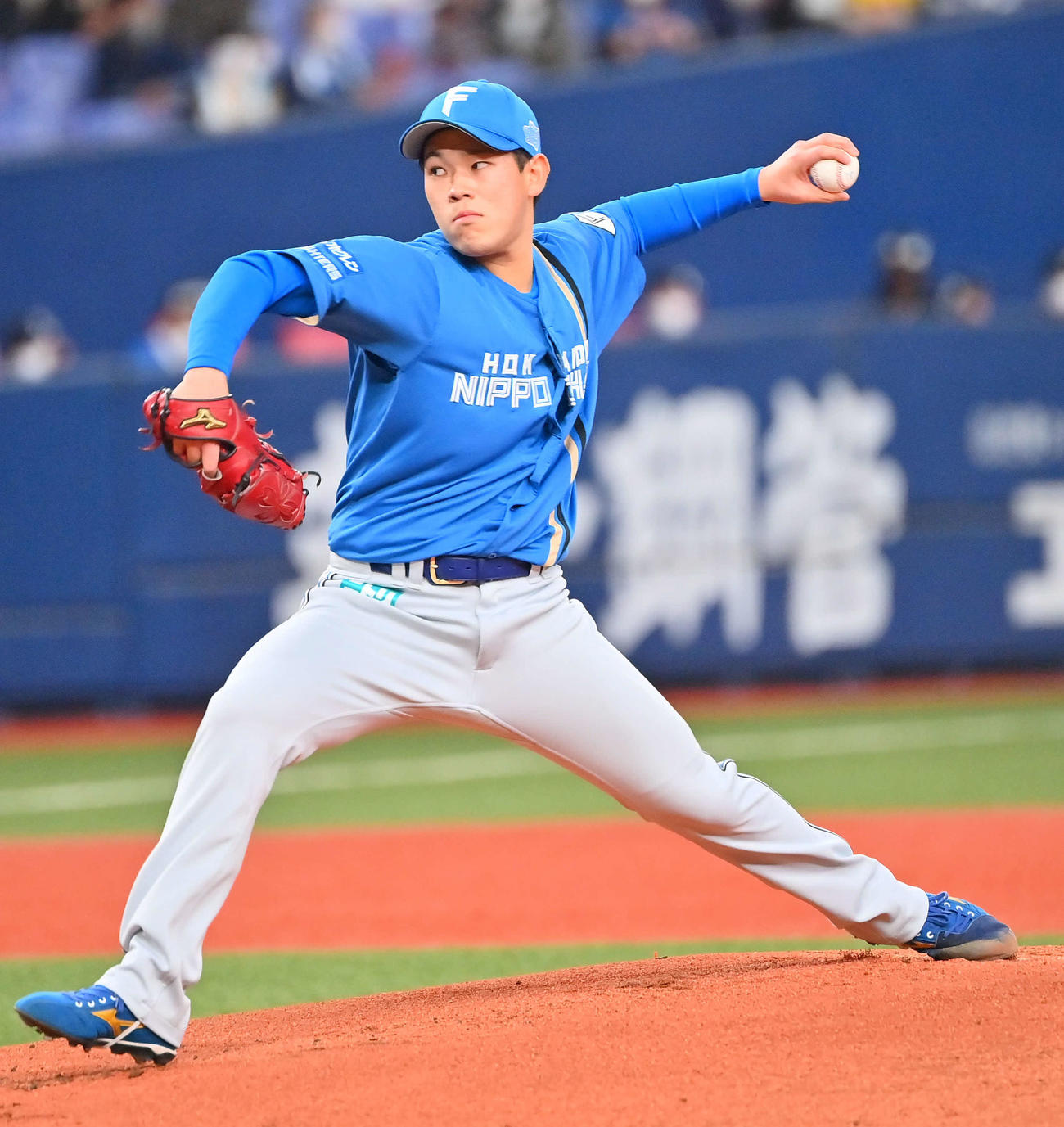 日本ハム根本（22年4月1日撮影）