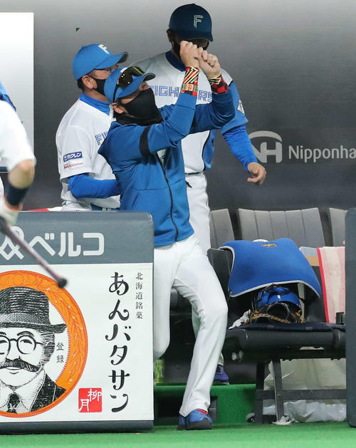 日本ハム対巨人　4回裏日本ハム2死満塁、万波が遊適時内野安打を放ち、スイングをまねながら喜ぶ新庄監督（撮影・河田真司）