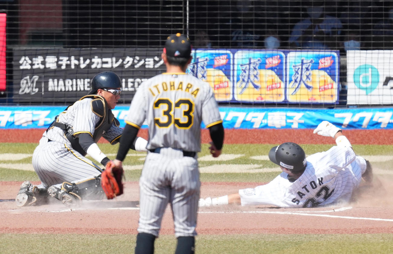 ロッテ対阪神　2回裏ロッテ2死一、二塁、高部の適時打で二塁から生還する佐藤都（撮影・菅敏）