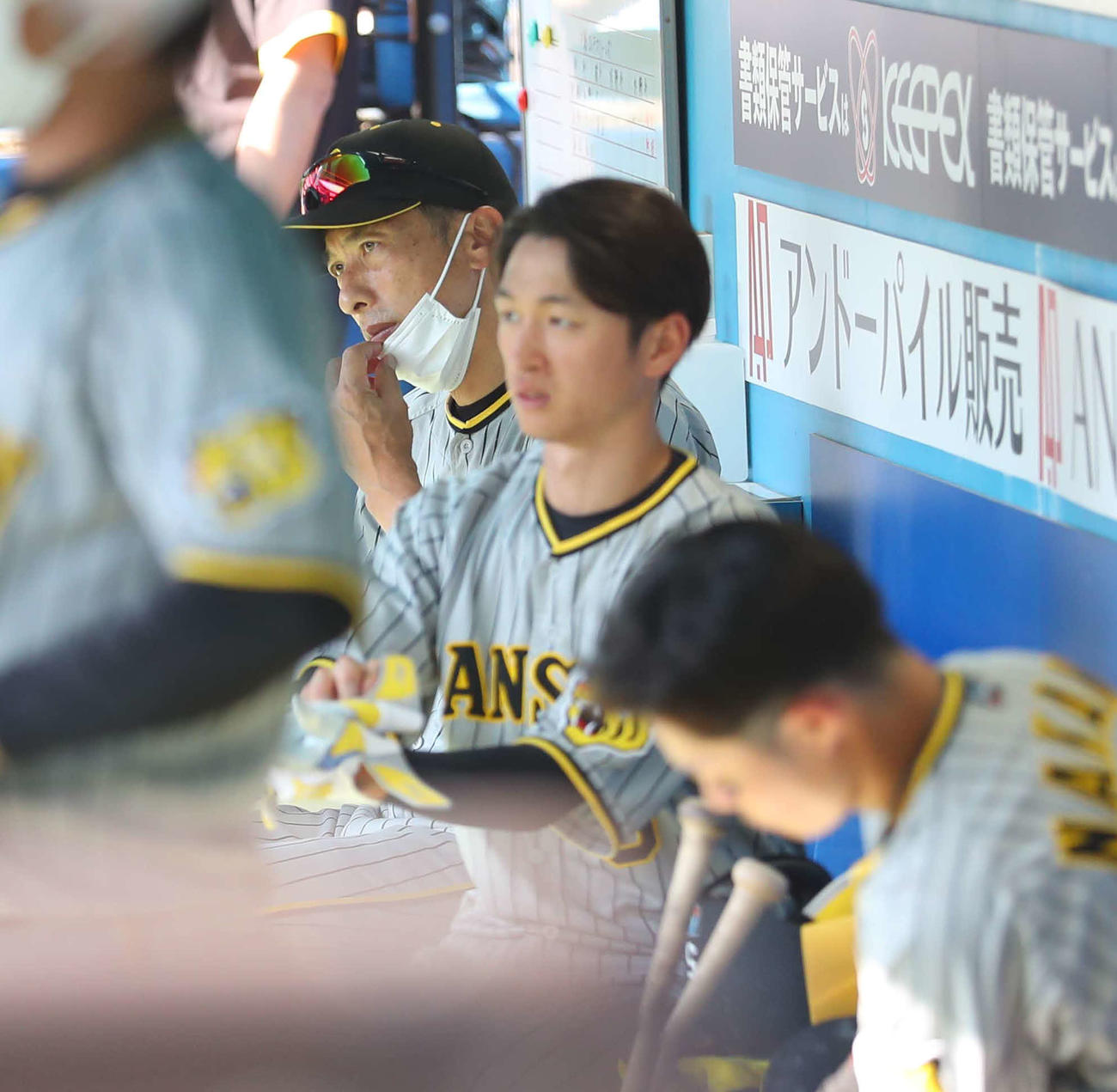 ロッテ対阪神　矢野監督はリードを許し厳しい表情を見せる（撮影・上田博志）