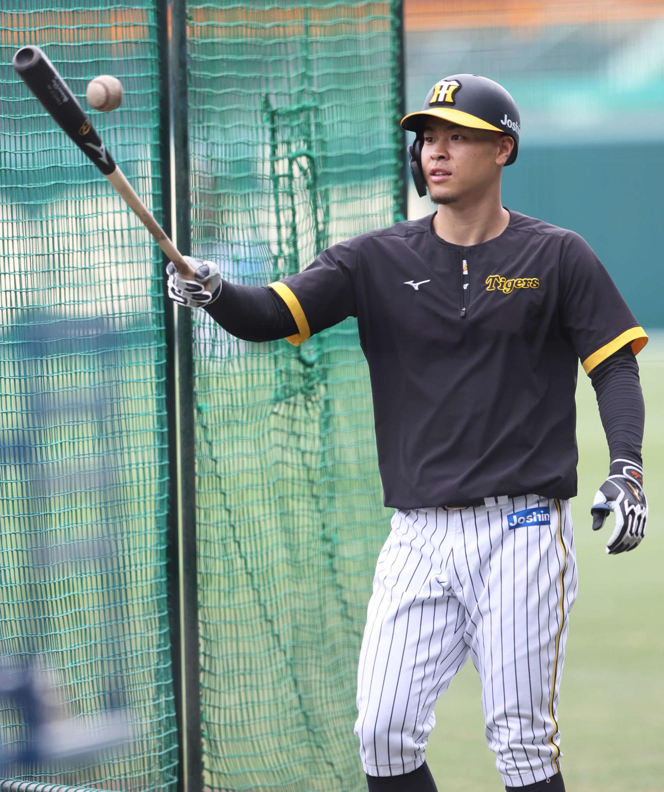 11球団制覇弾を目指す阪神佐藤輝（2022年5月26日撮影）
