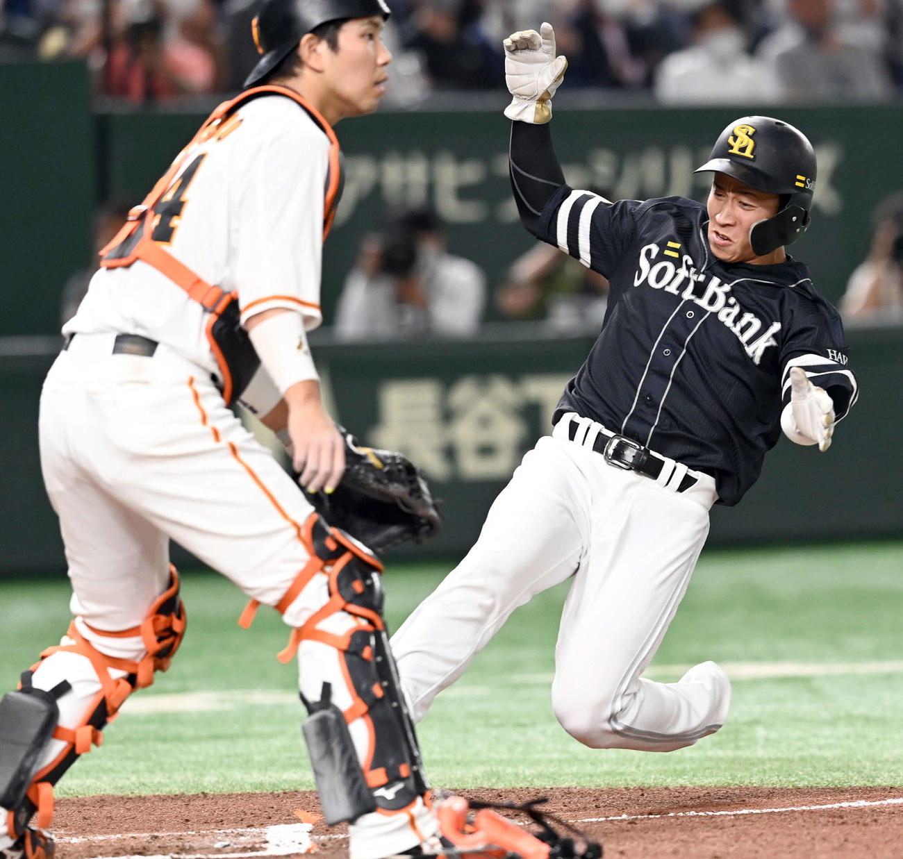 巨人対ソフトバンク　7回表ソフトバンク1死二塁、三森の右前打で生還する代走野村勇（撮影・たえ見朱実）