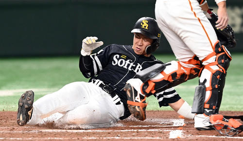 巨人対ソフトバンク　7回表ソフトバンク1死二塁、三森の右前打で生還する代走野村勇（撮影・たえ見朱実）