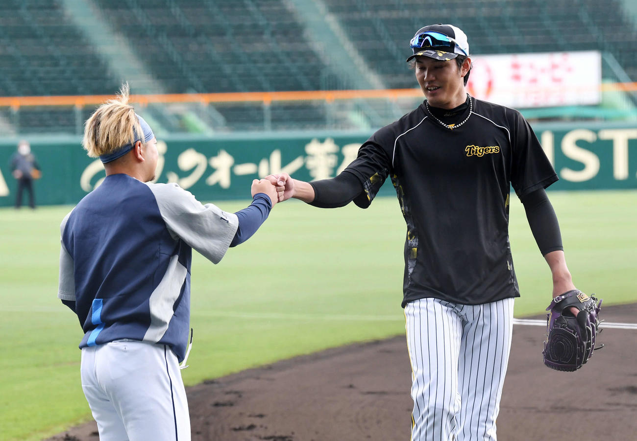阪神対西武　試合前にグータッチする阪神藤浪（右）と西武森（撮影・前岡正明）