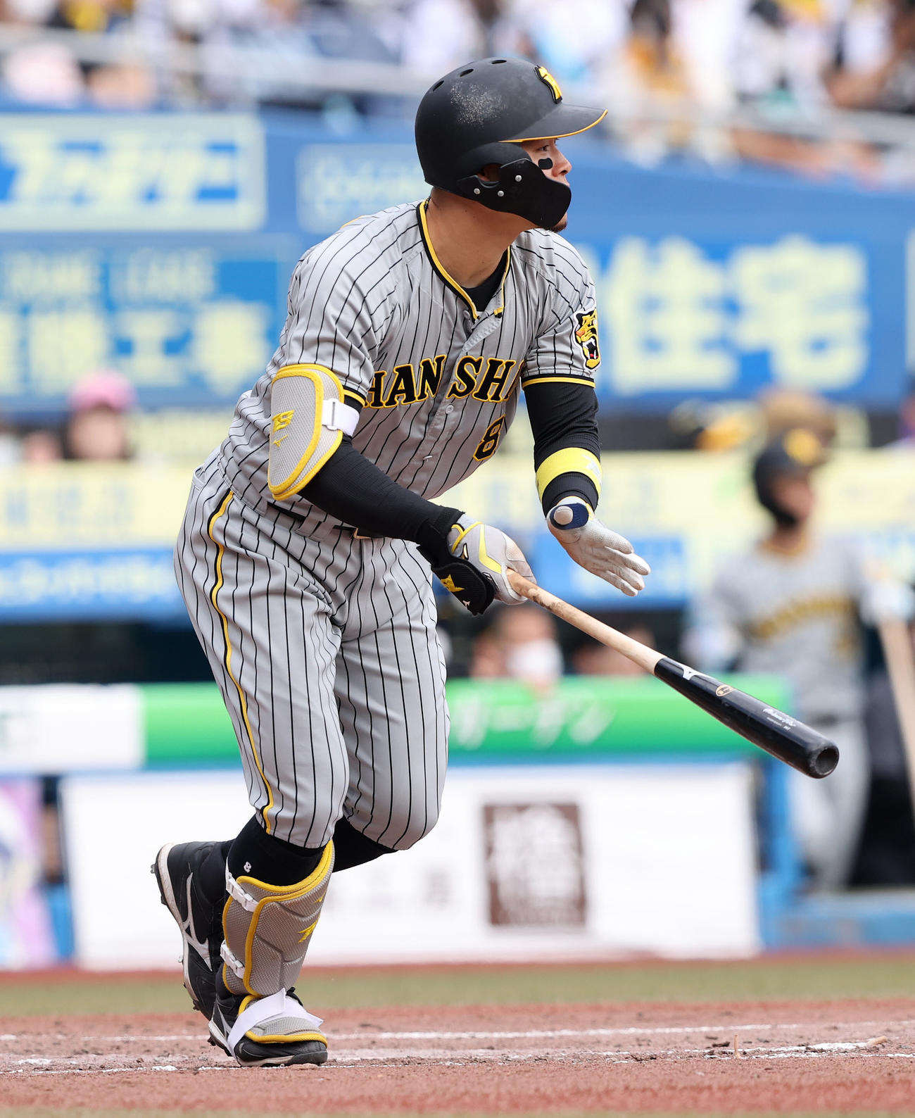 阪神佐藤輝明（2022年5月28日撮影）