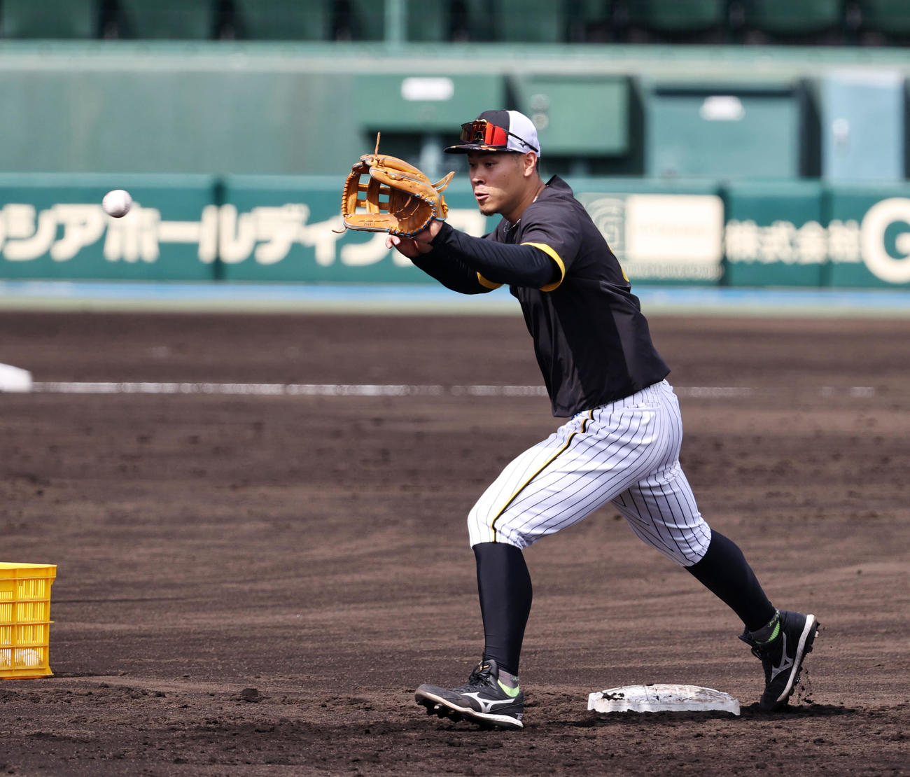 阪神対西武　練習で遊撃を守る佐藤輝（撮影・加藤哉）