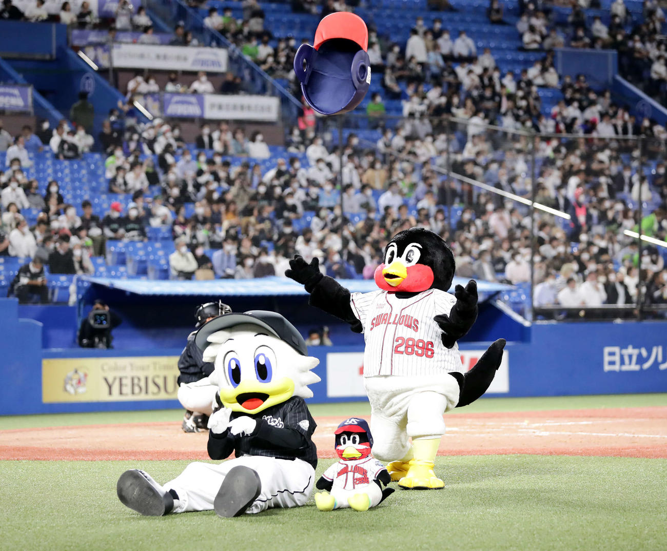 ヤクルト対ロッテ　5回裏ヤクルトの攻撃前、ロッテのマスコットのマー君を座らせて、空中くるりんぱに挑戦するつば九郎（撮影・浅見桂子）