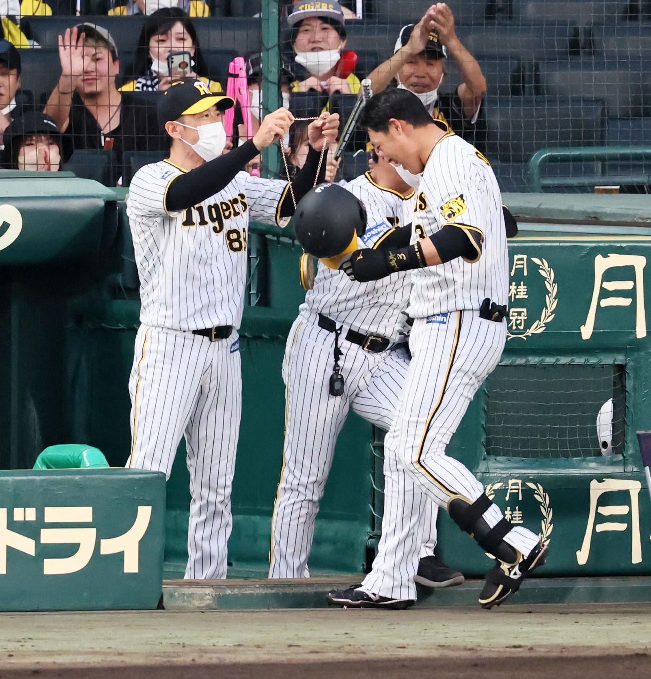阪神対西武　3回裏阪神1死一、三塁、大山は左越え3点本塁打を放ちベンチ前で矢野監督からメダルをかけられる（撮影・加藤哉）