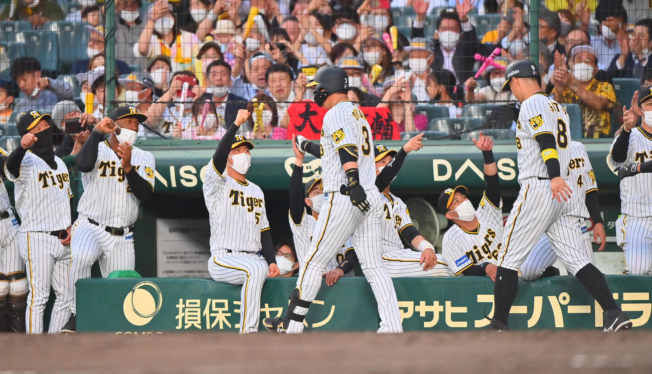 阪神対西武　3回裏阪神1死一、三塁、左越えに3点本塁打を放った大山はナインに迎えられる（撮影・和賀正仁）