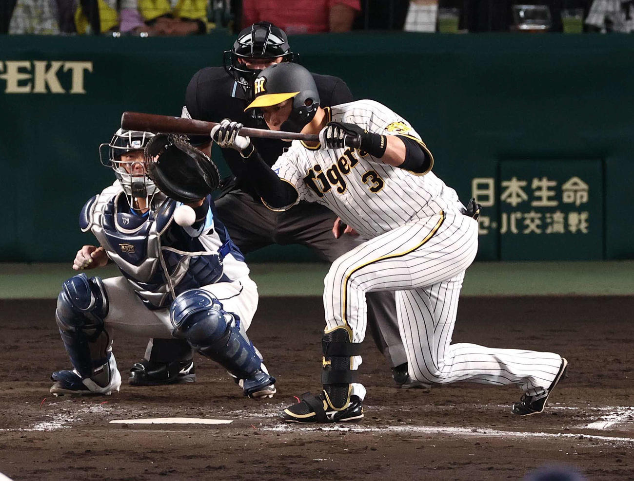 阪神対西武　7回裏阪神無死一、二塁、送りバントを決める大山（撮影・上田博志）