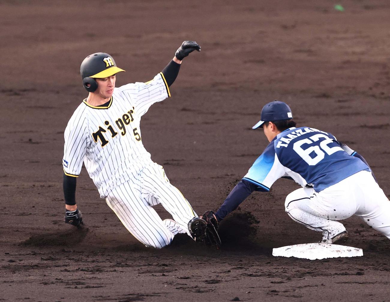 阪神対西武　3回裏阪神1死一塁、近本は二盗に失敗する（撮影・上田博志）