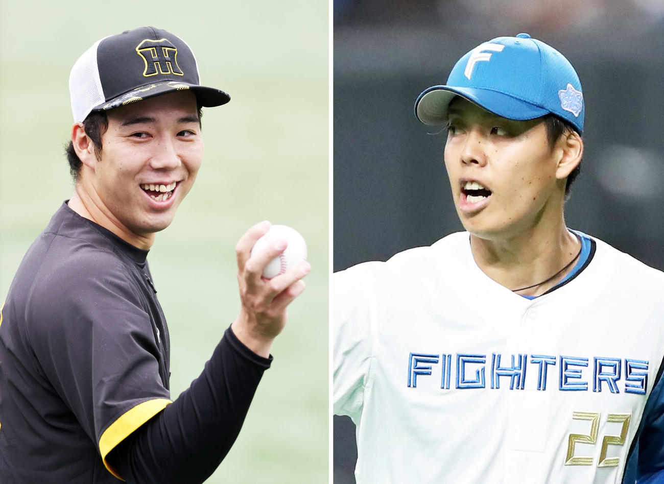 阪神青柳晃洋、日本ハム杉浦稔大（右）
