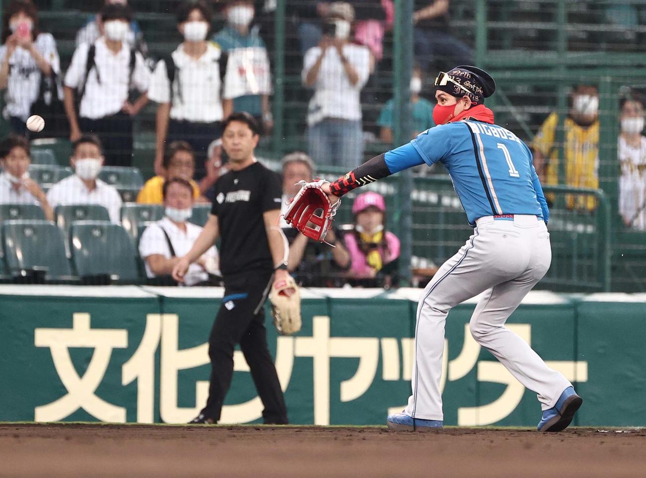 阪神対日本ハム　三塁に入りシート打撃の打球をさばく新庄監督（撮影・上田博志）