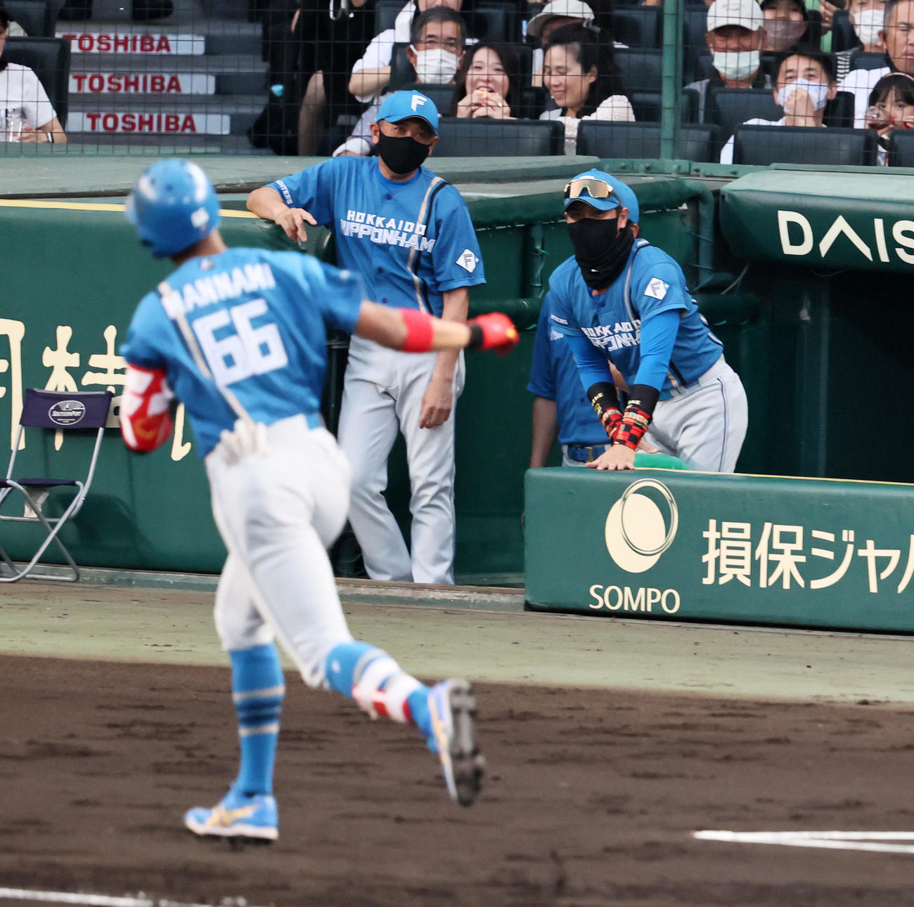 阪神対日本ハム　3回表日本ハム無死、左越え本塁打を放った万波（左）と見る新庄監督（撮影・加藤哉）