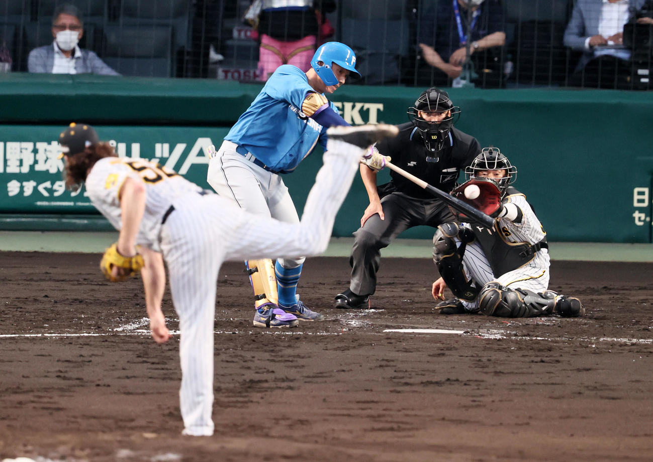 阪神対日本ハム　3回表日本ハム1死満塁、宇佐見は左前適時打を放つ。投手はウィルカーソン（撮影・加藤哉）
