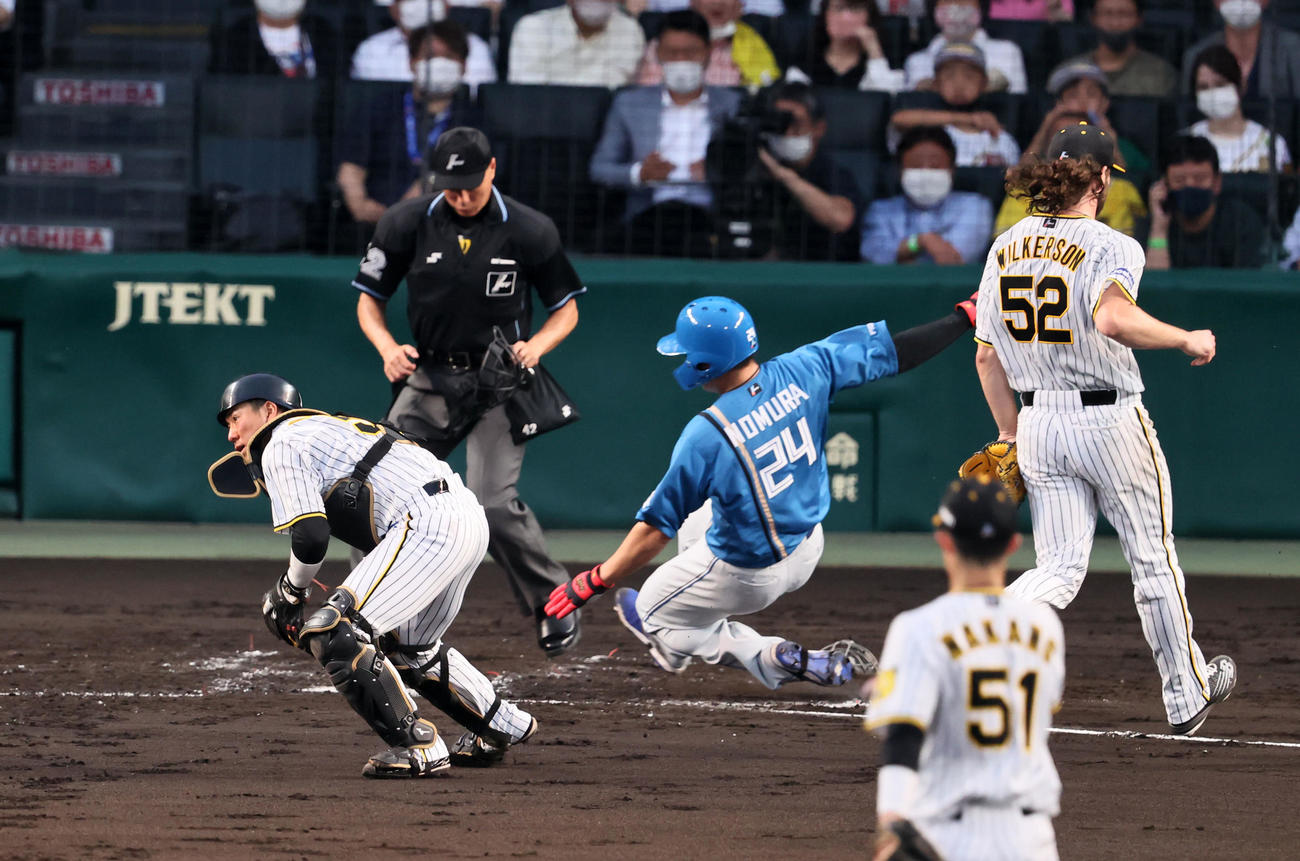 阪神対日本ハム　3回表日本ハム無死満塁、上川畑のスクイズを捕球する長坂。中央は生還する野村。右はウィルカーソン（撮影・加藤哉）