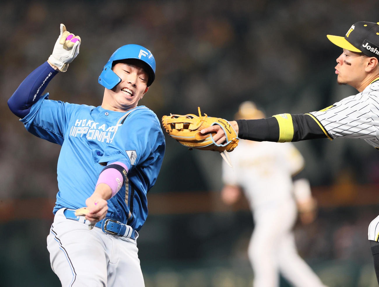 阪神対日本ハム　6回表日本ハム無死二塁、上沢の遊ゴロで三塁へ向かう二走宇佐見（左）へタッチに向かう佐藤輝（撮影・上山淳一）