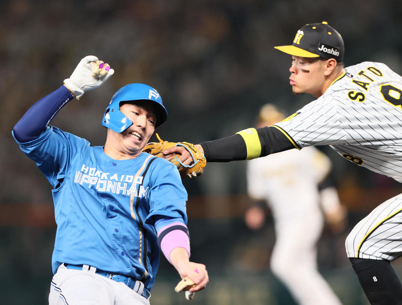 阪神対日本ハム　6回表日本ハム無死二塁、上沢の遊ゴロで三塁へ向かう二走宇佐見（左）へタッチに向かう佐藤輝（撮影・上山淳一）
