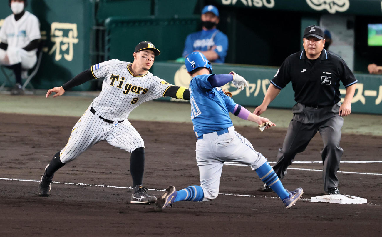 阪神対日本ハム　6回表日本ハム無死二塁、佐藤輝は上沢の打球を中野から受け二塁走者宇佐見（右）にタッチする（撮影・加藤哉）