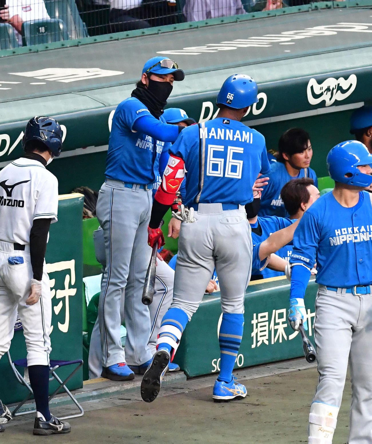 阪神対日本ハム　3回表日本ハム無死、左中間に本塁打を放った万波（右）を迎える新庄監督（撮影・前岡正明）