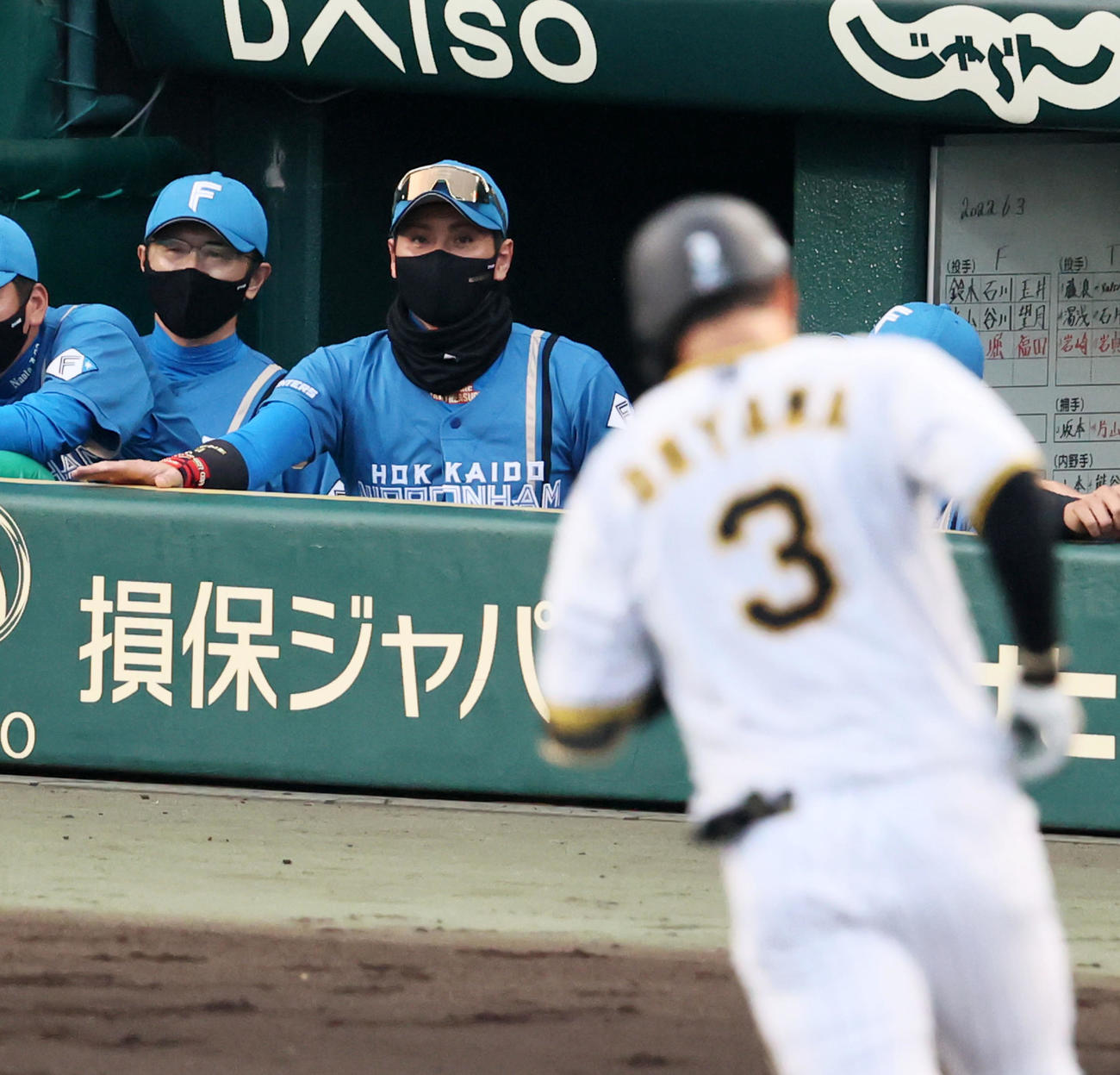 阪神対日本ハム　2回裏阪神無死、左越え本塁打を放った大山をベンチから見る新庄監督（撮影・加藤哉）
