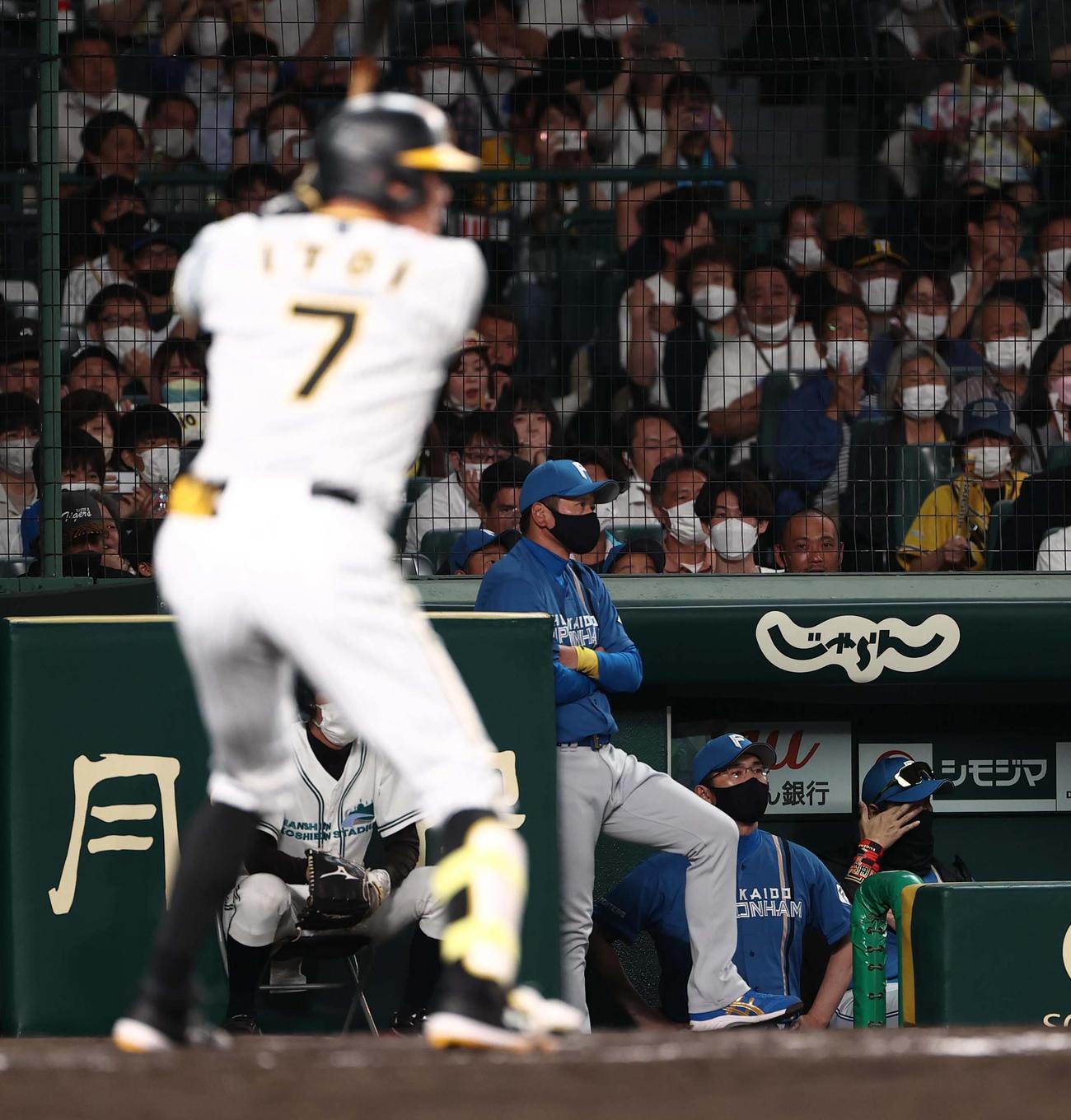 阪神対日本ハム　8回裏阪神1死一、二塁、糸井の打席で目頭をおさえる？新庄監督（撮影・上田博志）