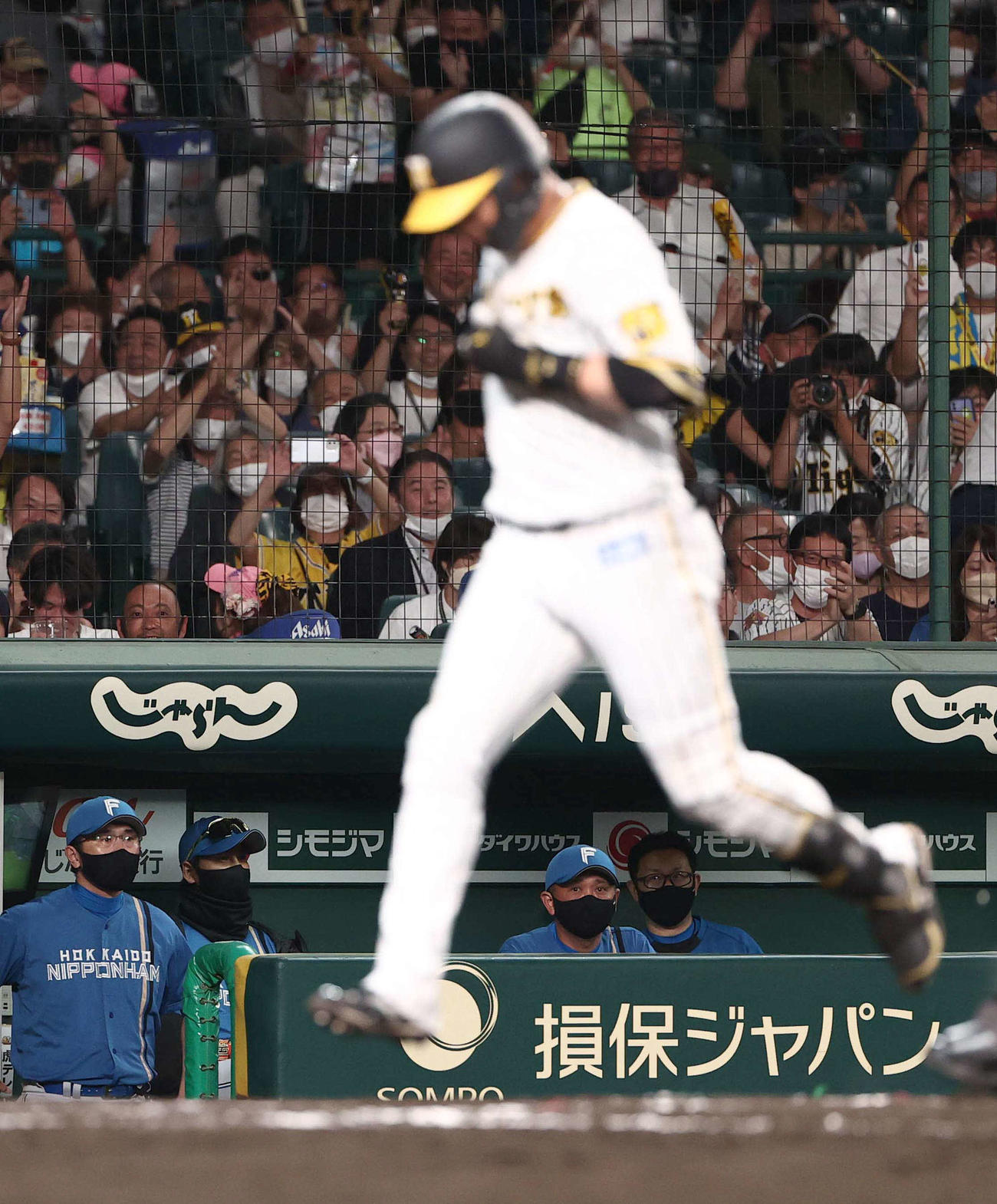 阪神対日本ハム　8回裏阪神1死、新庄監督（左から2人目）は大山に左越え本塁打を浴びベンチで厳しい表情を見せる（撮影・上田博志）