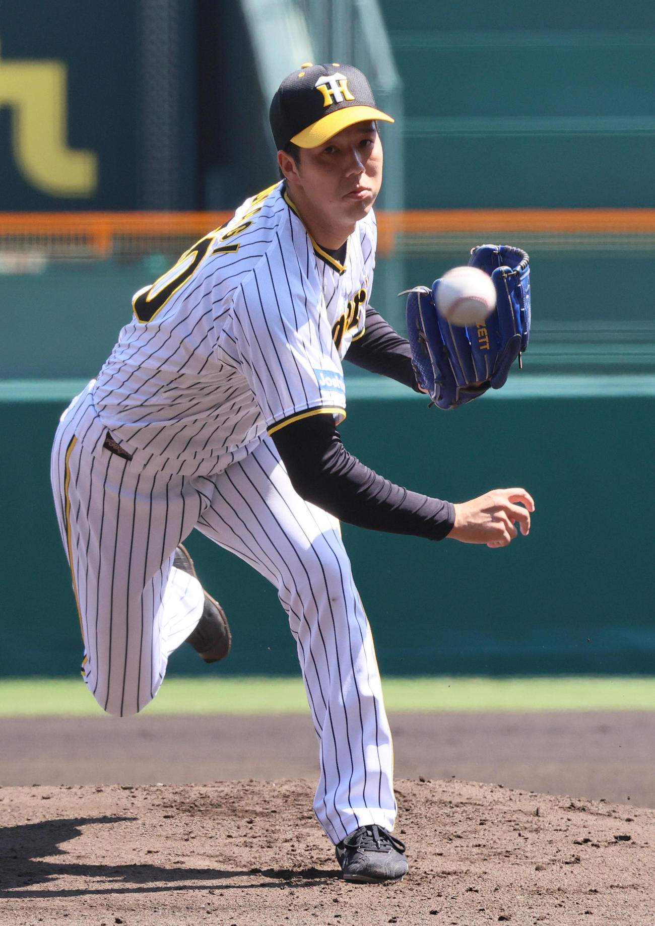 阪神対日本ハム　神先発の青柳（撮影・上山淳一）