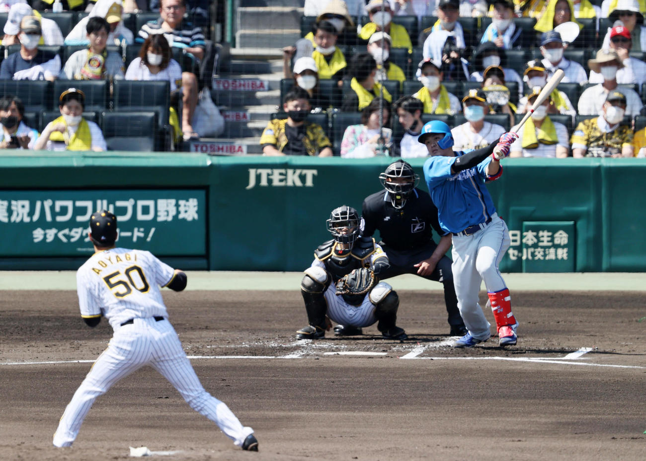 阪神対日本ハム　2回表日本ハム無死、野村は中前打を放つ。投手は青柳（撮影・加藤哉）