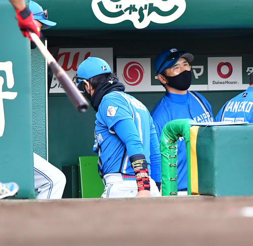 阪神対日本ハム　阪神に連敗、引き揚げる新庄監督（撮影・前岡正明）