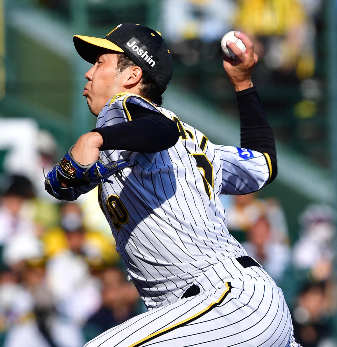 阪神対日本ハム　8回無失点の好投で今季6勝目を挙げた青柳（撮影・前岡正明）