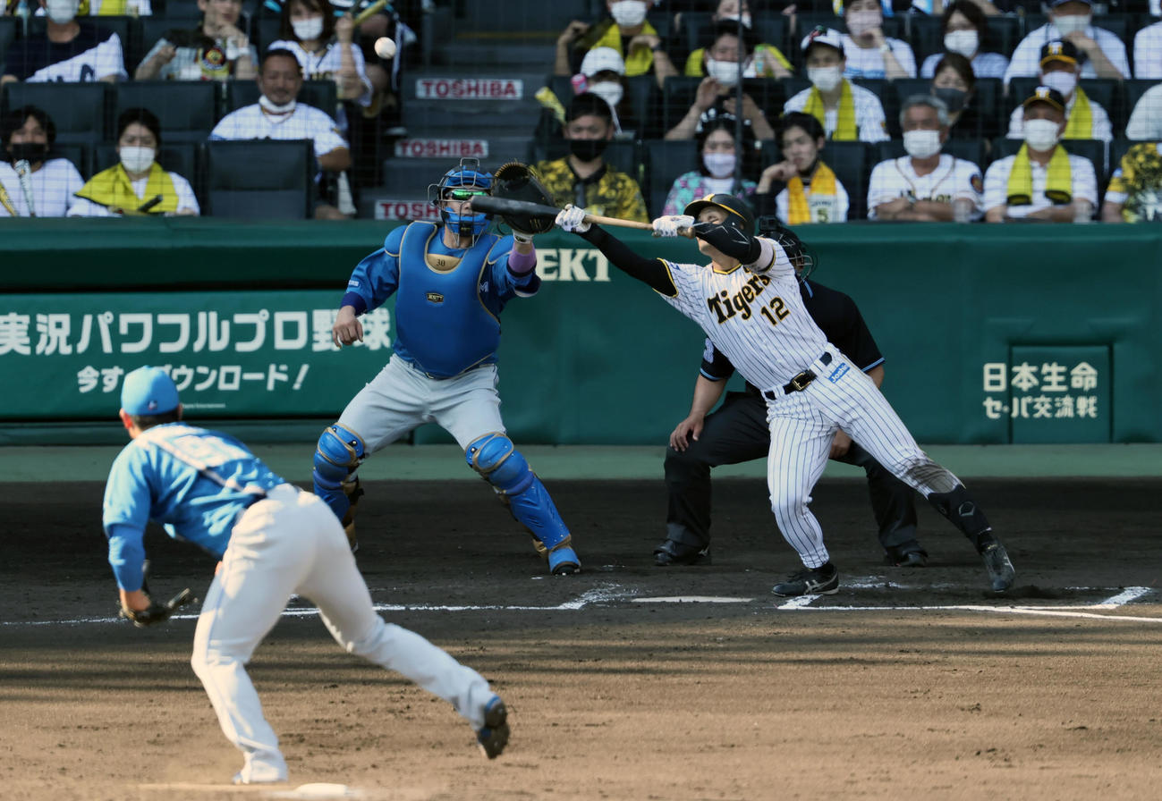 阪神対日本ハム　6回裏阪神1死一、三塁、坂本はスクイズ失敗するもバットにボールを当てる（撮影・加藤哉）