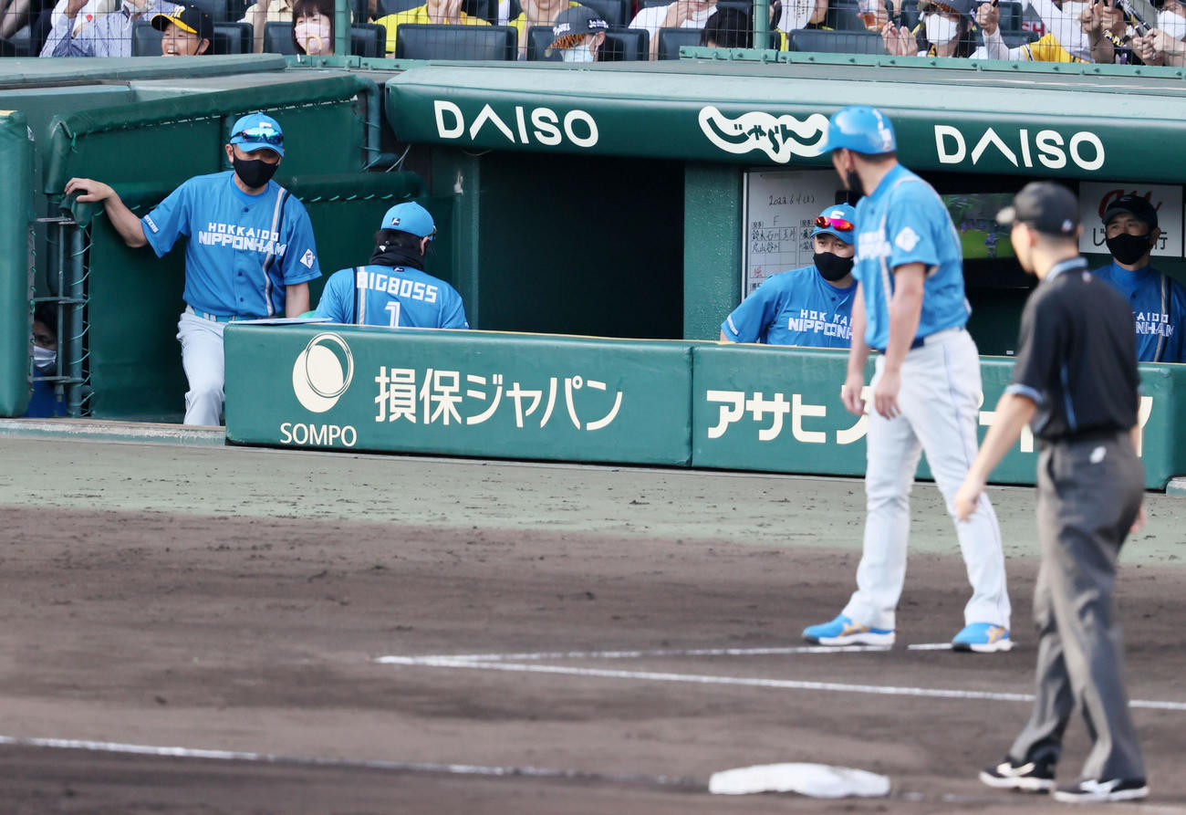 阪神対日本ハム　9回表日本ハム1死一塁、野村の一塁判定にリクエストすることもなくロッカールームへ向かう新庄監督（撮影・加藤哉）