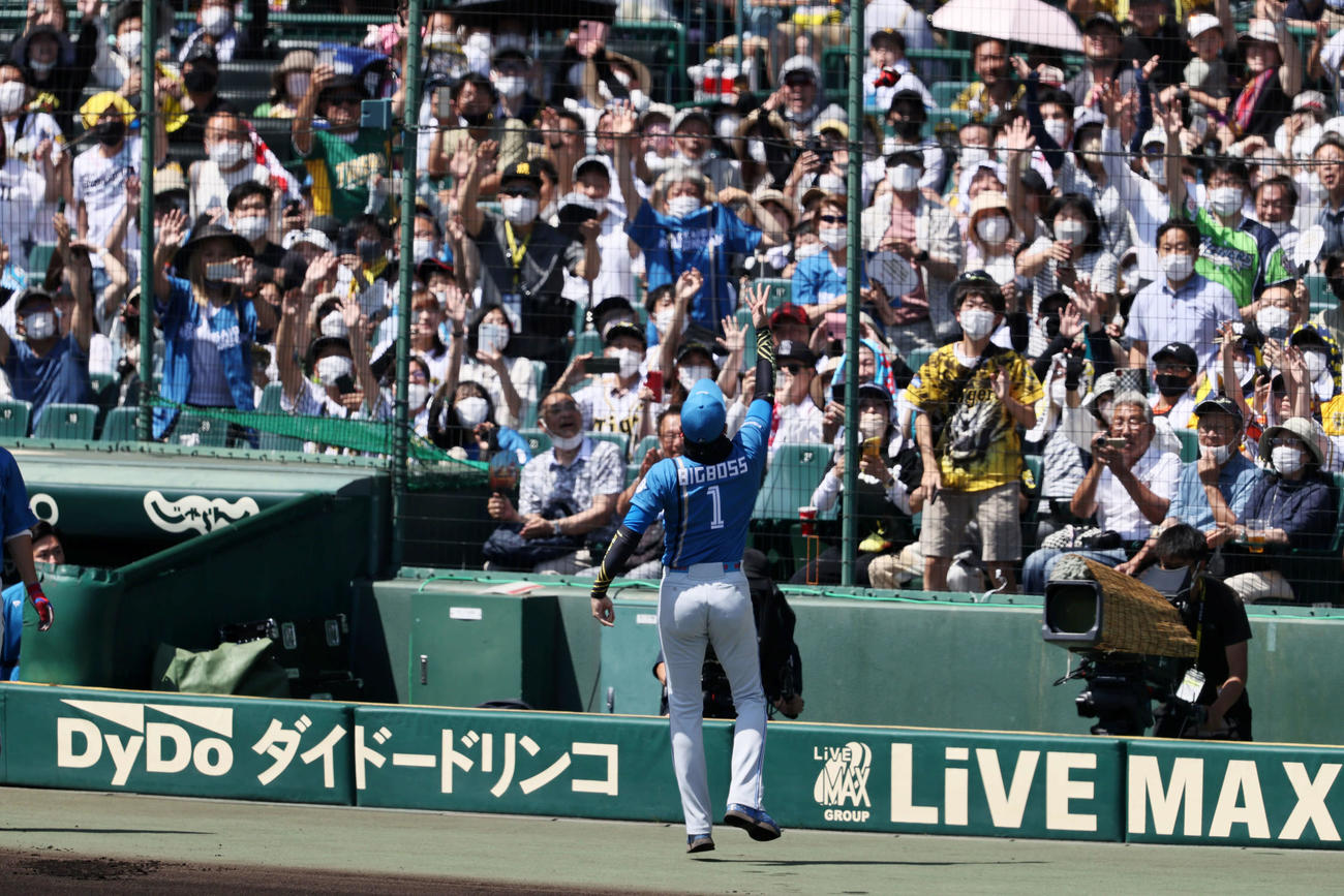 阪神対日本ハム　メンバー表交換を終えスタンドにリストバンドを投げ入れファンにプレゼントする新庄監督（撮影・加藤哉）