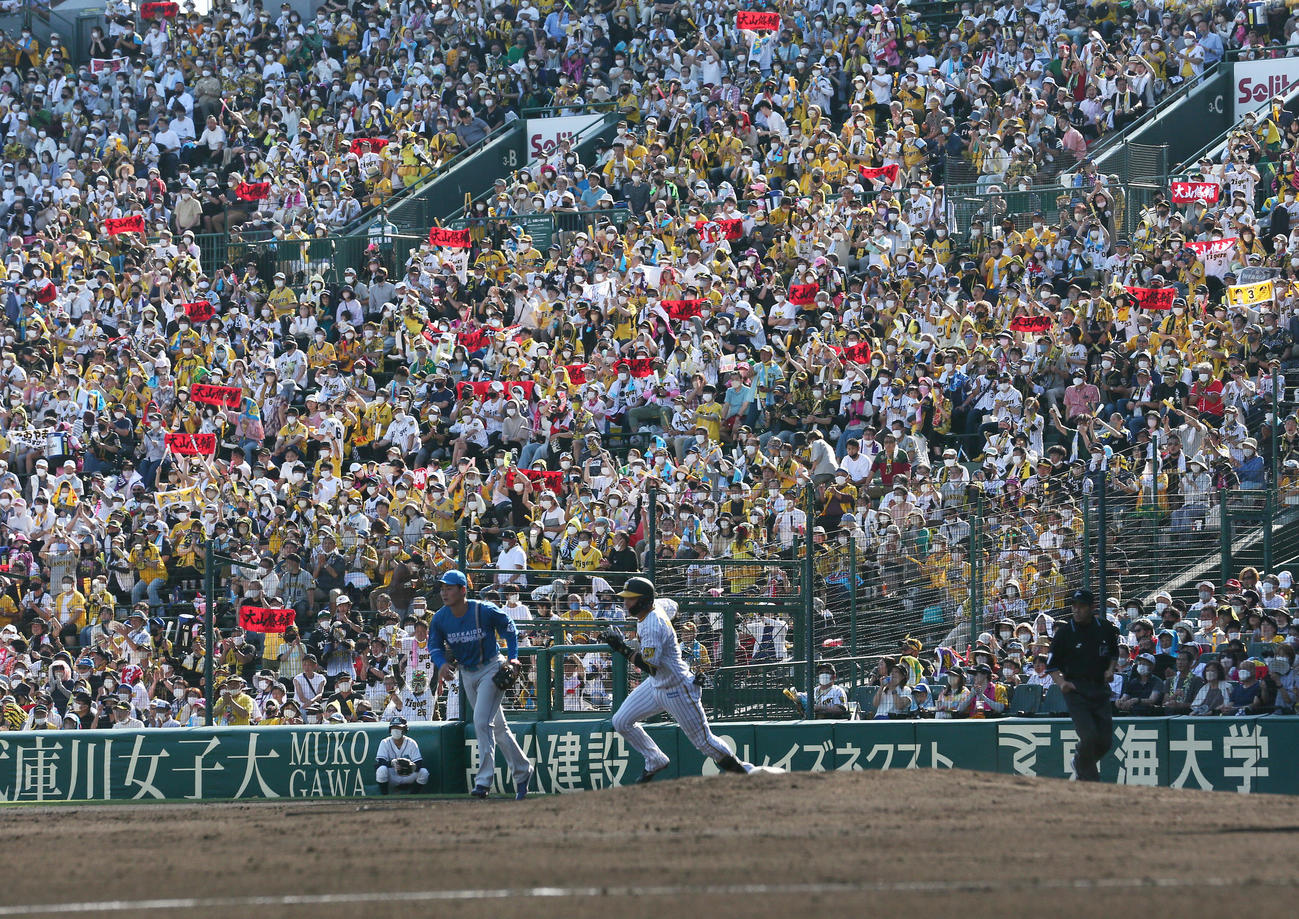 阪神対日本ハム　6回裏阪神無死、大山は左に二塁打を放つ（撮影・上山淳一）