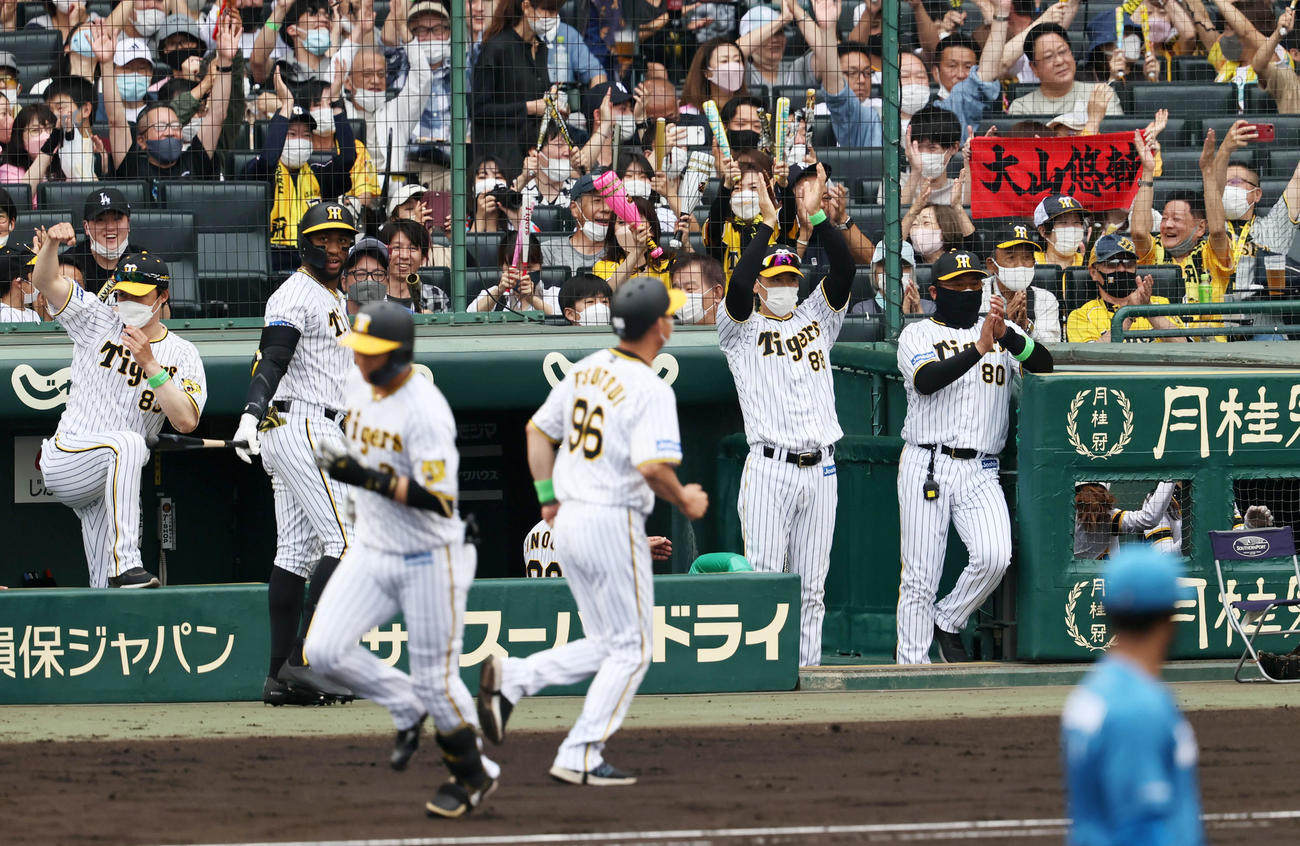阪神対日本ハム　3回裏阪神2死一、三塁、大山の左越え3点本塁打に喜ぶベンチの矢野監督（右から2人目）ら（撮影・加藤哉）