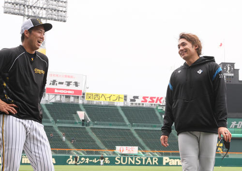 阪神対日本ハム　試合前、阪神青柳（左）と談笑するする日本ハム伊藤（撮影・上山淳一）