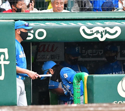 阪神対日本ハム　阪神に3連敗、がっくり引き揚げる新庄監督（撮影・前岡正明）