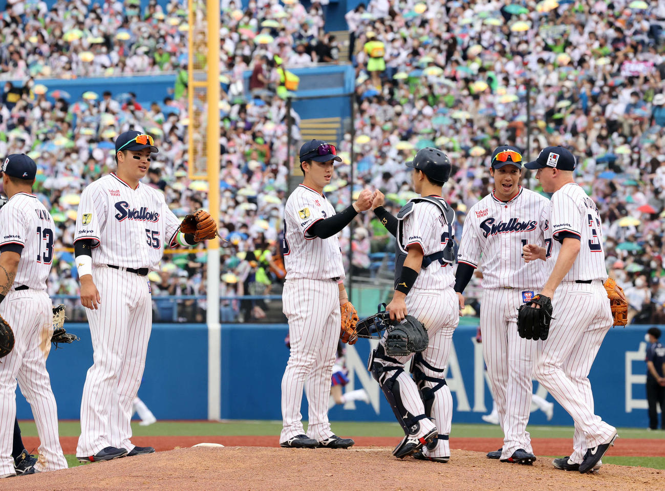 ヤクルト対西武　4連勝し、笑顔でグータッチする長岡（中央）らヤクルトの選手たち（撮影・浅見桂子）