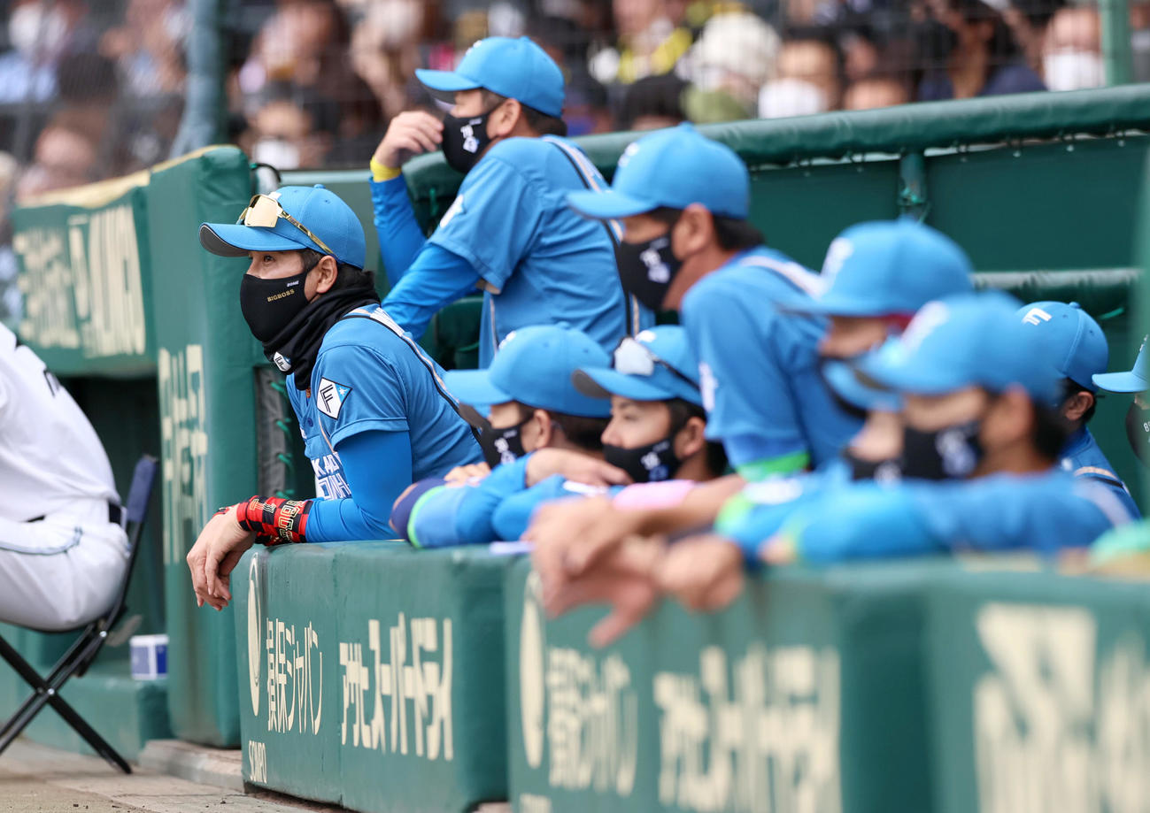 阪神対日本ハム　3回裏阪神2死一、三塁、新庄監督（左）は大山に左越え3点本塁打を被弾し、ベンチからグラウンドを見る（撮影・上山淳一）