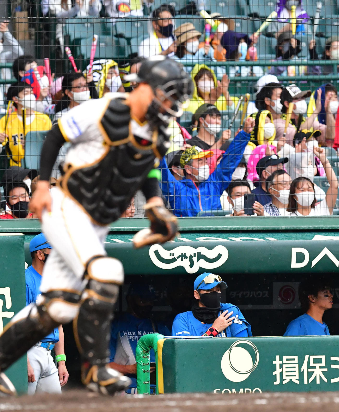 阪神対日本ハム　阪神に3連敗、がっくりする新庄監督（撮影・前岡正明）